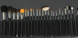 24 pc. Professional Brush Set