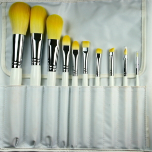 10 pc. Professional Brush Set