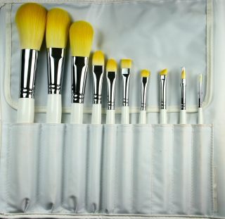 10 pc. Professional Brush Set