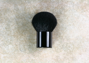 Kabuki Brush